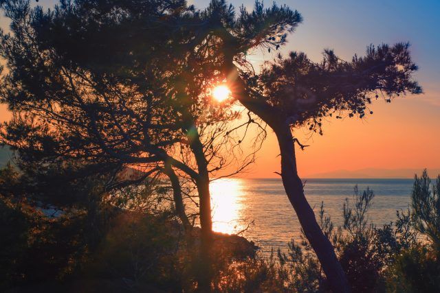 pexels stevan aksentijevic 1049940 2289180