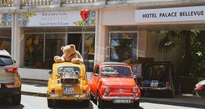 pexels vladimirsrajber 17624961 (1)