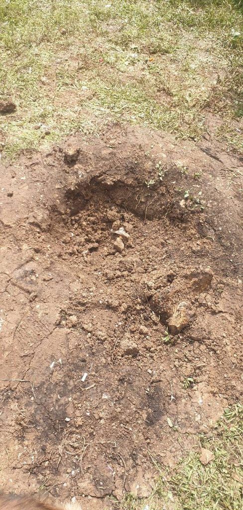 499833445 1110506671121223 9199884305508901512 n