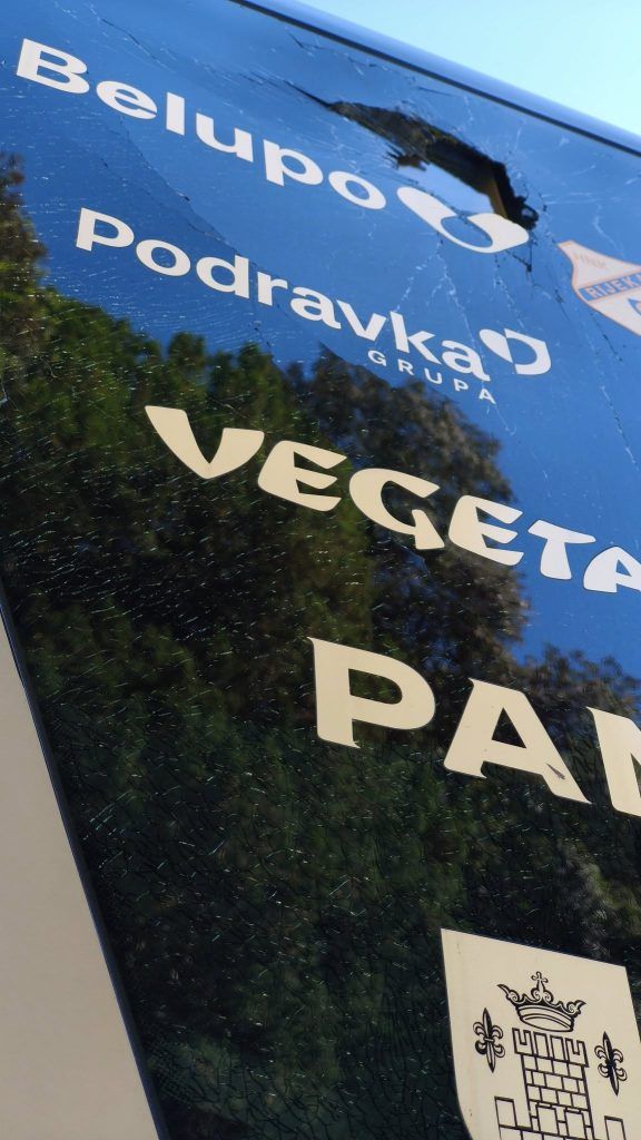 499935101 1153392750164023 3728305993403320906 n