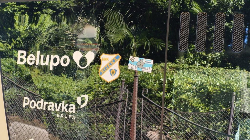 500092245 1153392890164009 703013854576320837 n