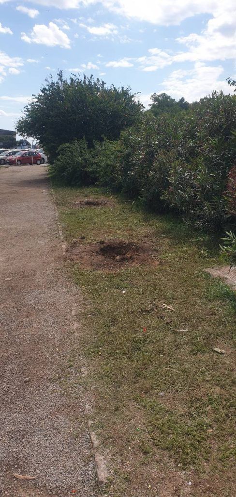 500098531 1110506724454551 5279463060239137407 n