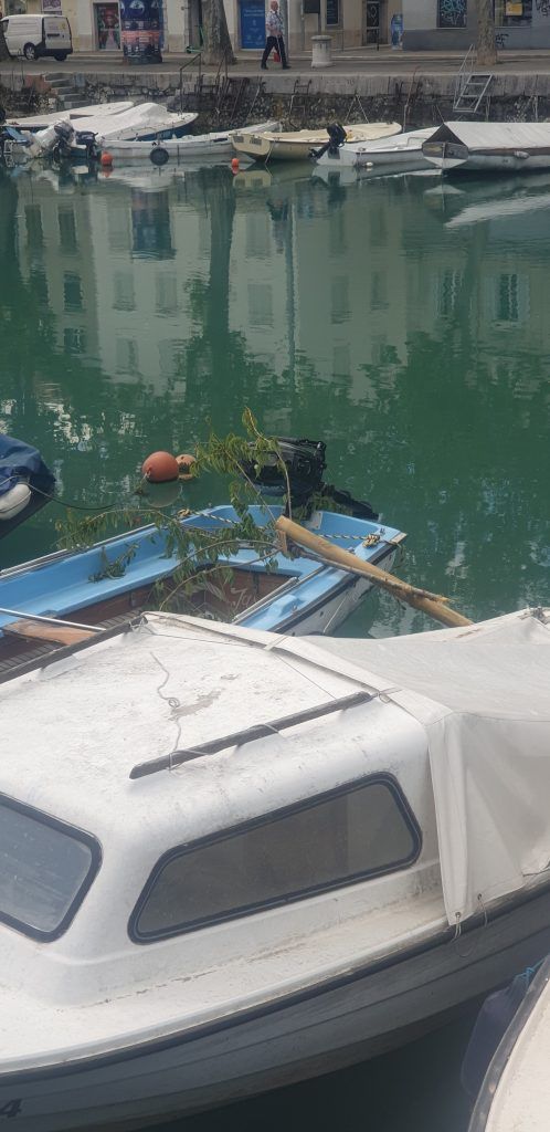 500119390 1110506821121208 8772987571194785848 n