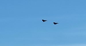 599f5b37 6d7c 4b60 be6a d1e0b8463d4b