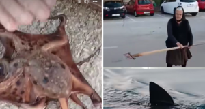 5c6331ef4fa9dbf95469