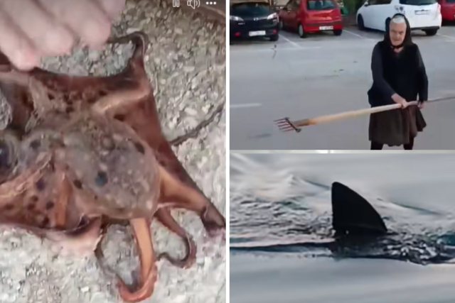 5c6331ef4fa9dbf95469