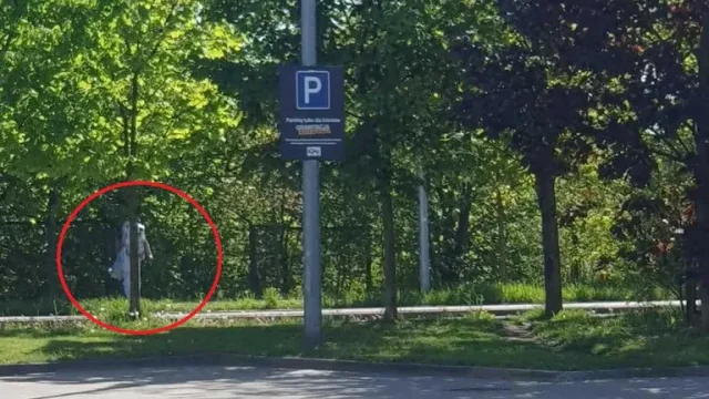 768x432 ba054e7c 9d09 11eb 870c cedfb09875dd (1) 768x432 ba054e7c 9d09 11eb 870c cedfb09875dd (1)