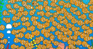 768x432 ba054e7c 9d09 11eb 870c cedfb09875dd