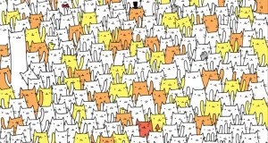 768x432 ba054e7c 9d09 11eb 870c cedfb09875dd