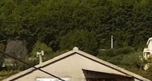 802ee3eb 198d 4cfc bf20 23053fe019da