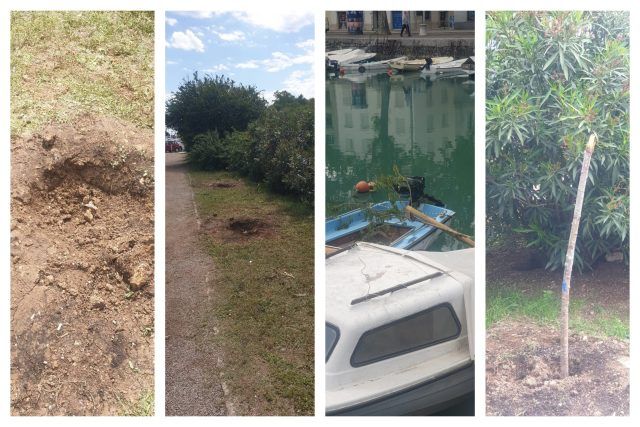 MixCollage 24 May 2025 05 25 PM 3604