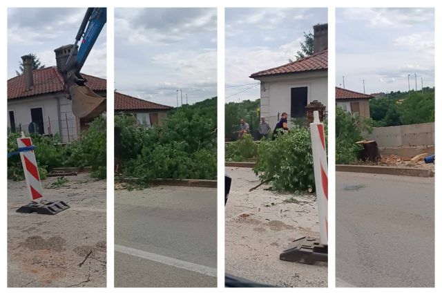 MixCollage 27 May 2025 08 54 PM 889