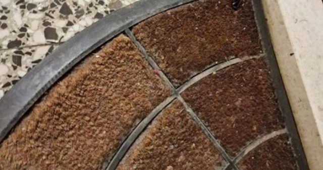 c2b88977 d9fb 4bd4 a802 543c3e5ba170