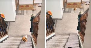 f9872b7b 09a7 40db ae78 578ae6907fe4