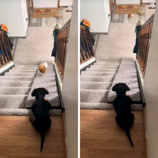 f9872b7b 09a7 40db ae78 578ae6907fe4