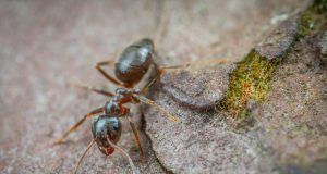 pexels ekamelev 7870551