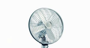 pexels enriquezafra 3675622