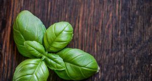 pexels monicore 1087902