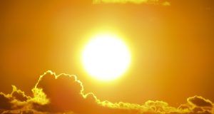 pexels pixabay 301599 (4)