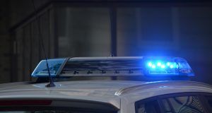 pexels pixabay 532001 (4)