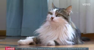 001744f5 e53f 4e1c 9330 cf65267cdb3c