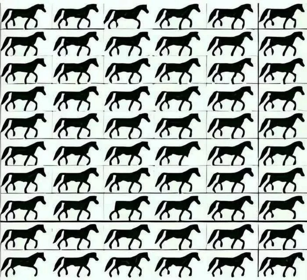 0 find horse wihout tail (1) 0 find horse wihout tail (1)