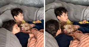 12e59824 96f6 4114 b0ec e76cab0e1262