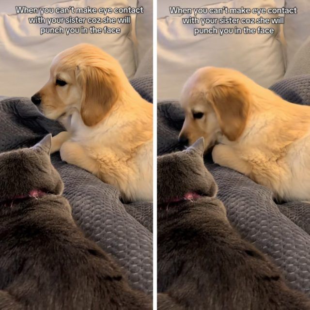 35dbe8b6 8d7a 4d02 8ba8 afd968bc8959