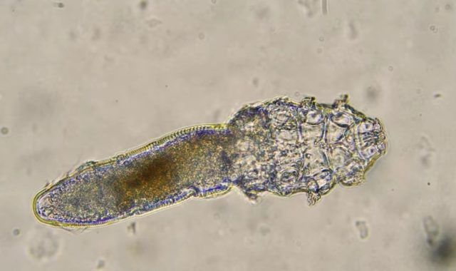 4281e1a2 4839 46aa 95ae f7061997469d