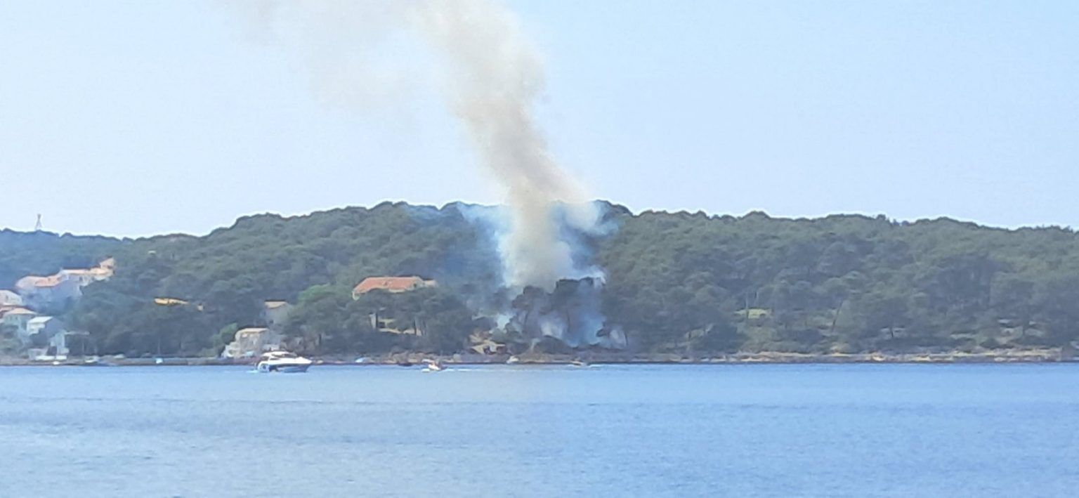 503824371 1100087095483947 6634379089335387909 n