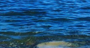 505713754 1121850086649227 8677322543774958844 n