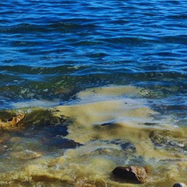 505713754 1121850086649227 8677322543774958844 n 505713754 1121850086649227 8677322543774958844 n