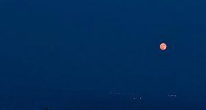 505878310 1441948943652994 7536937302800825819 n