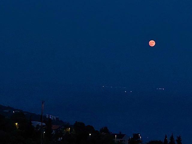 505878310 1441948943652994 7536937302800825819 n