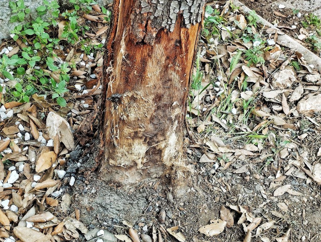 505899518 23989311910664560 4864547387154935613 n