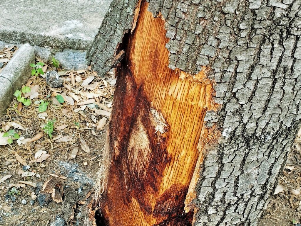 506349588 23989312390664512 8568280164368119471 n