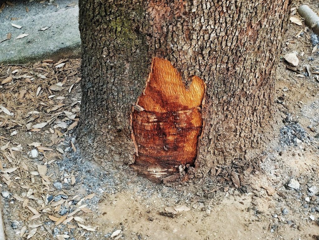 506401233 23989312903997794 6303827880124167964 n