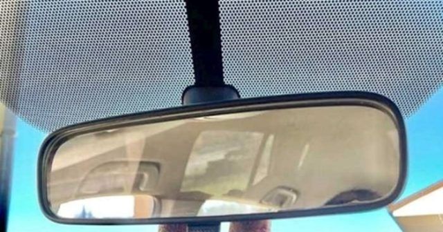 838805d8 6ff3 4669 950d 5edd5c984133