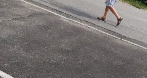 86b295a9 2bc3 46b2 b00d 53e290ce778c