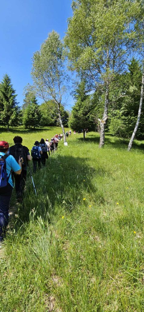 Camino GK Brod Moravice 5