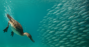 ChatGPT Image Jun 29, 2025, 02 25 42 PM