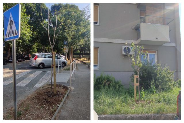 MixCollage 13 Jun 2025 05 37 PM 9324