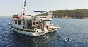 Still 2025 06 23 114326 1.11.1