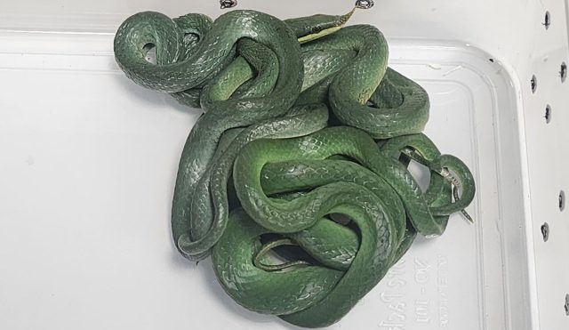 c0b02810 e953 4518 9dea d17a479d9472