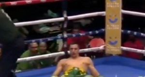 c4fe61d8 3709 48bc 838e bd08ef0b47b8