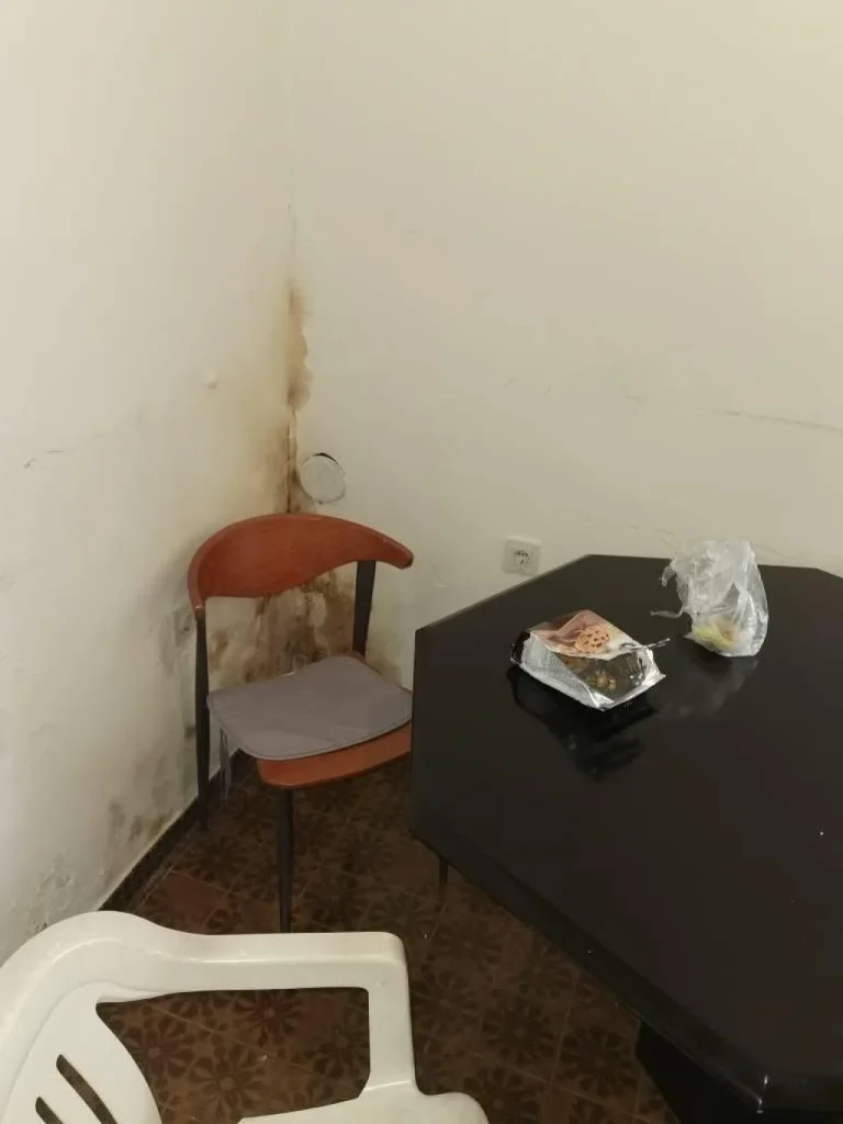 o 29732236 1280
