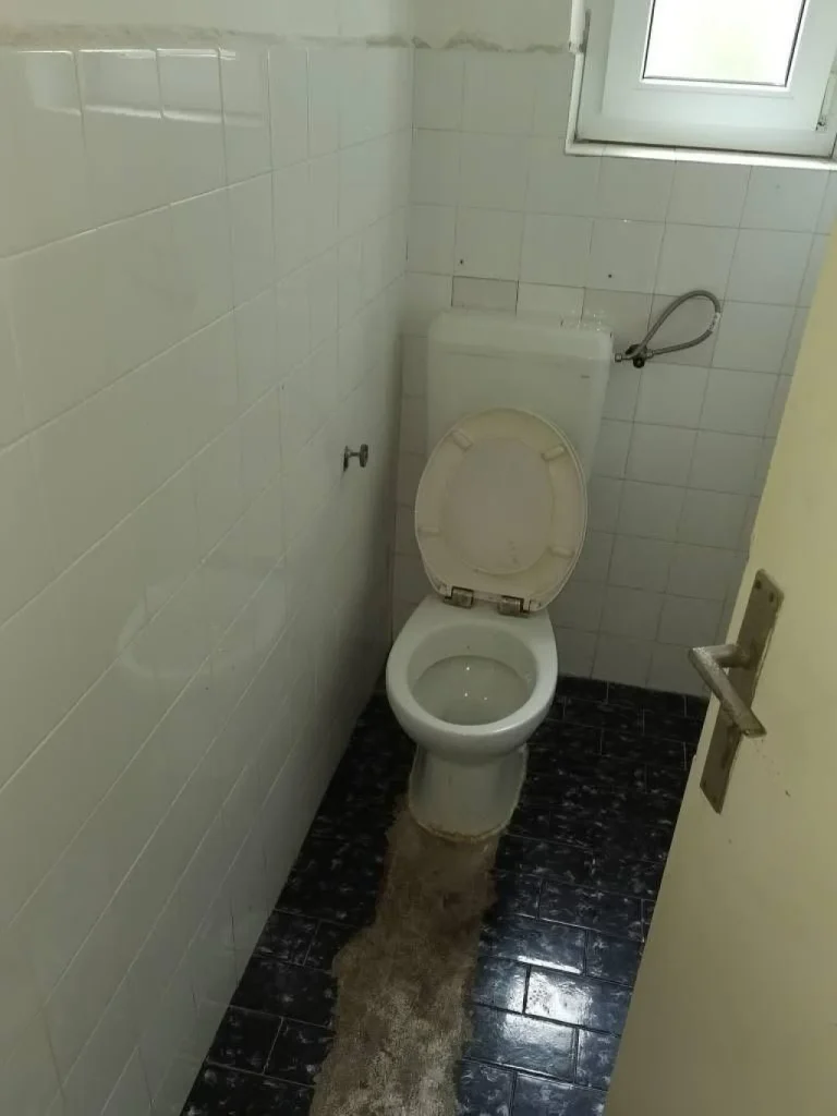 o 29732238 1280