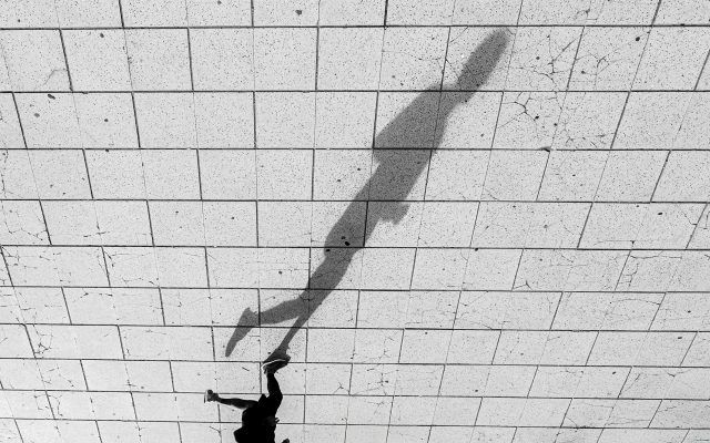 pexels alex dos santos 305643819 31842680