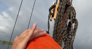 1a8aa1eb d637 45f6 956f 52b6a689a35b