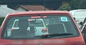 26bfd115 5ea2 4c79 9e5b 253ee814f2bf